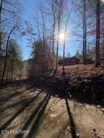 611 Antioch Church Rd, Vonore, TN 37885