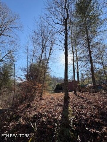 611 Antioch Church Rd, Vonore, TN 37885