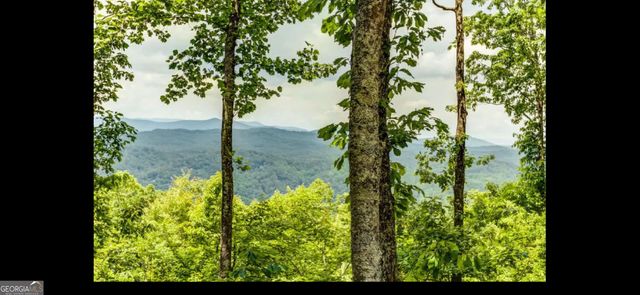 79 Laurel Ridge Way, Blue Ridge, GA 30513