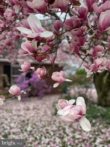 19541 LORRAINE TER, Hagerstown, MD 21742