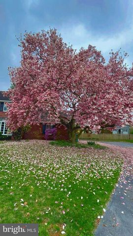 19541 LORRAINE TER, Hagerstown, MD 21742