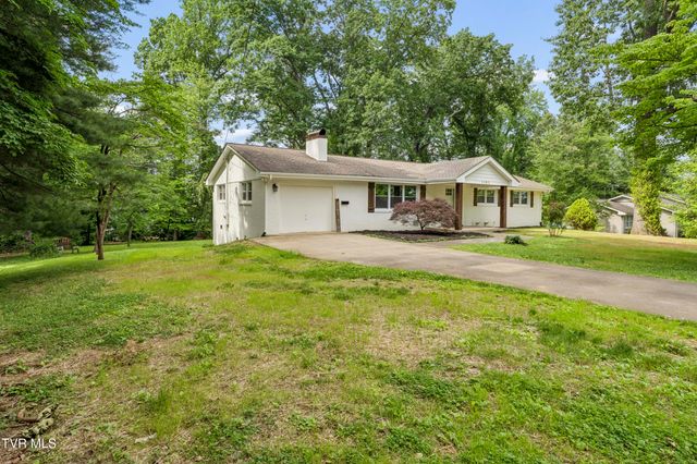 1303 Peterson Place, Johnson City, TN 37601