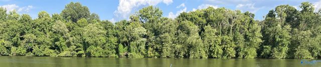 Lot 79 County Road 1008, Cedar Bluff, AL 35959