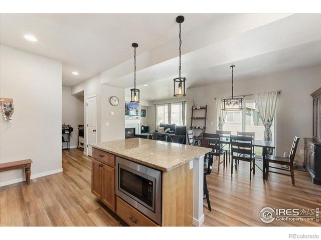 3804 Buckthorn Street, Wellington, CO 80549