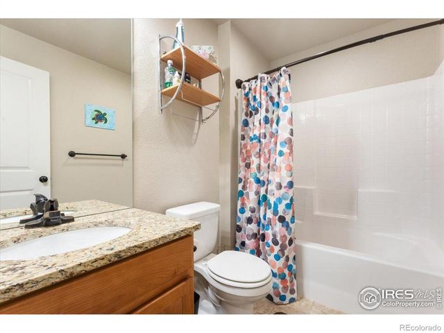 3804 Buckthorn Street, Wellington, CO 80549