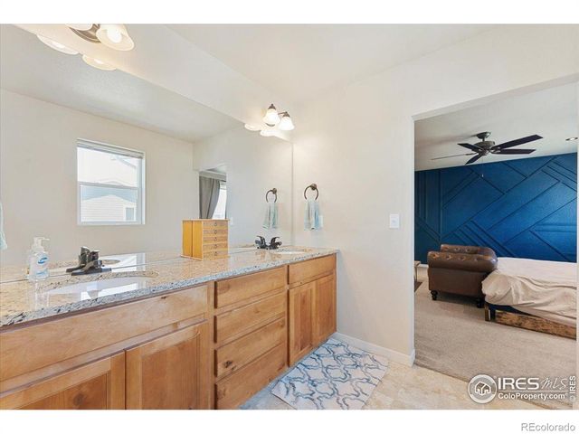 3804 Buckthorn Street, Wellington, CO 80549