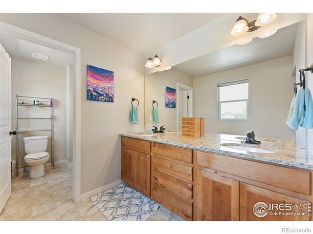 3804 Buckthorn Street, Wellington, CO 80549