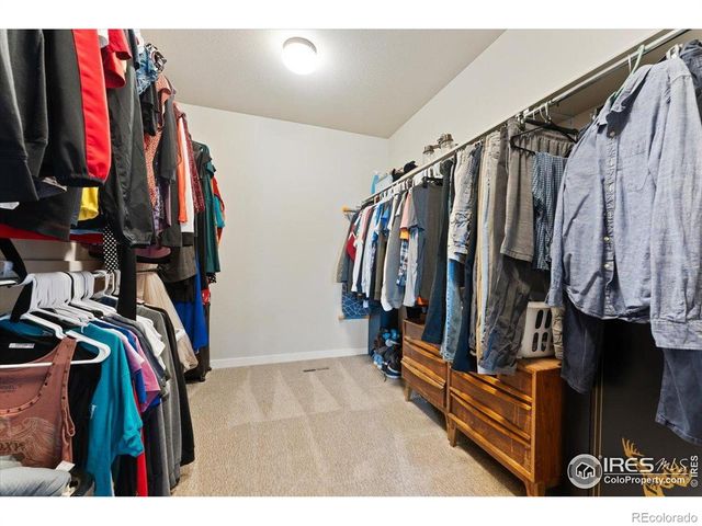 3804 Buckthorn Street, Wellington, CO 80549