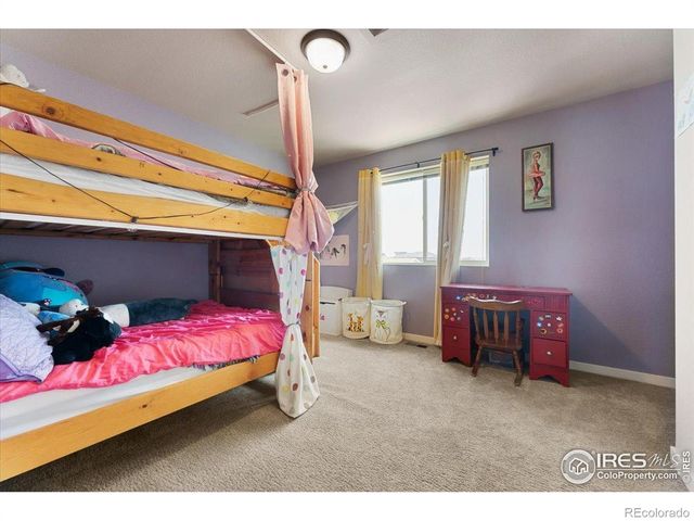 3804 Buckthorn Street, Wellington, CO 80549