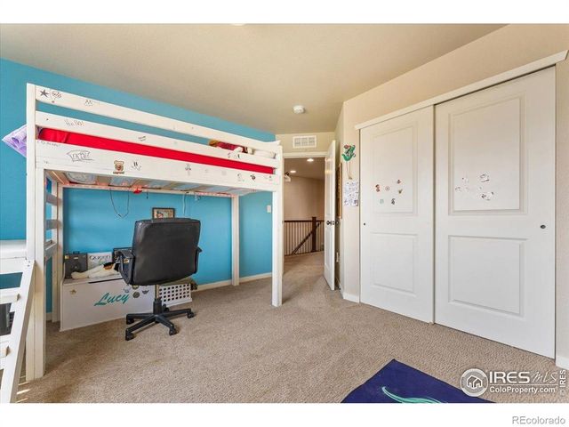 3804 Buckthorn Street, Wellington, CO 80549