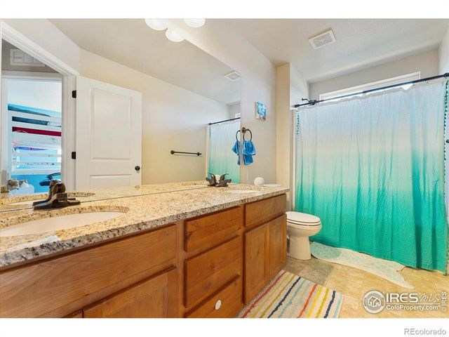 3804 Buckthorn Street, Wellington, CO 80549