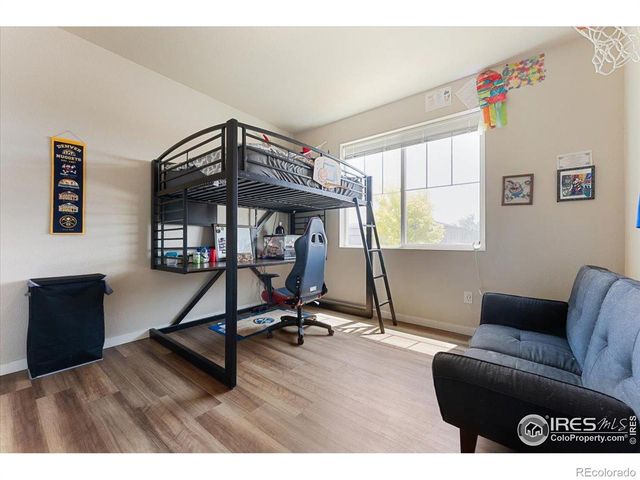 3804 Buckthorn Street, Wellington, CO 80549