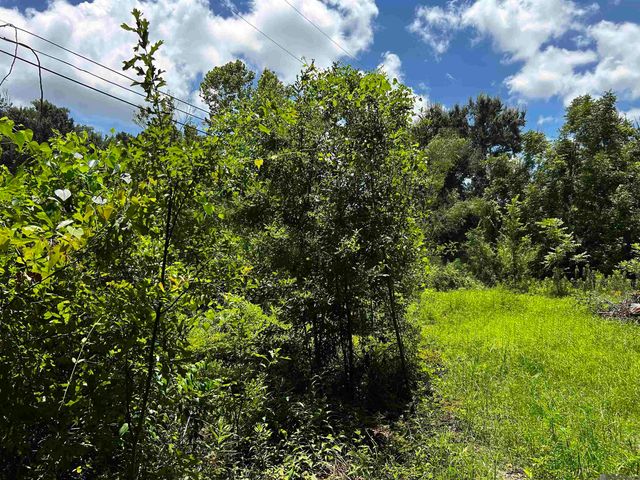 58355 Homestead Dr, Plaquemine, LA 70764