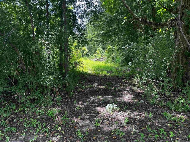58355 Homestead Dr, Plaquemine, LA 70764