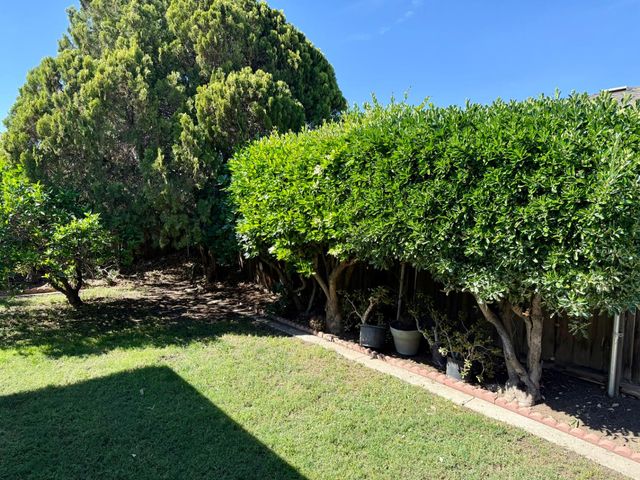 1264 Parkview St, Manteca, CA 95337