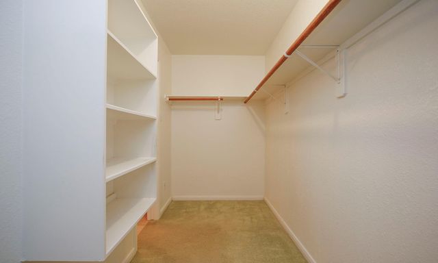 1114 Bringewood Chase Drive, Spring, TX 77379