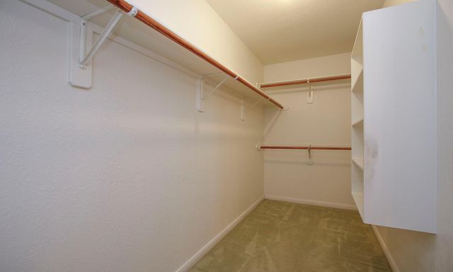 1114 Bringewood Chase Drive, Spring, TX 77379