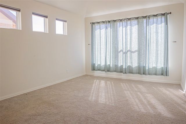 1216 Rosebay Drive, Justin, TX 76247