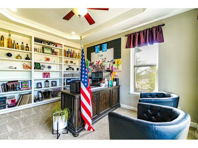 3938 Vale View Ln, Mead, CO 80542