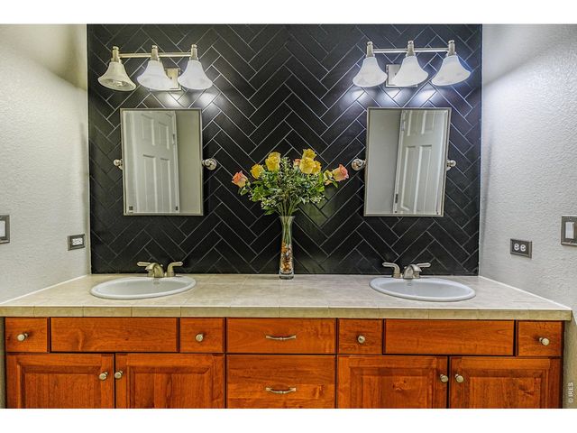 3938 Vale View Ln, Mead, CO 80542