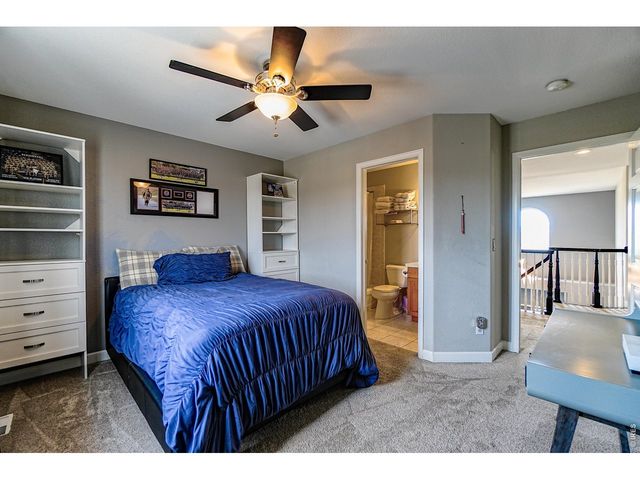 3938 Vale View Ln, Mead, CO 80542