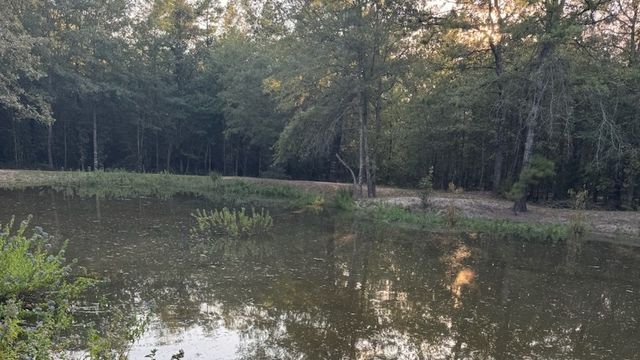 TBD County Road 1410, Bogata, TX 75417
