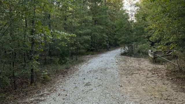 TBD County Road 1410, Bogata, TX 75417