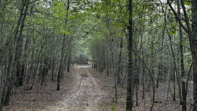 TBD County Road 1410, Bogata, TX 75417