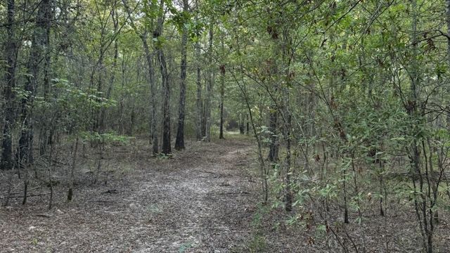 TBD County Road 1410, Bogata, TX 75417
