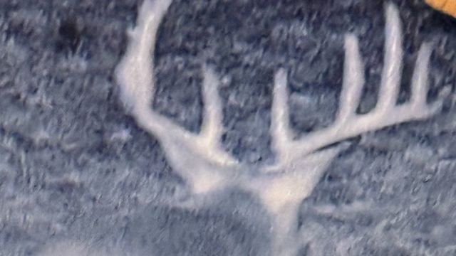 TBD County Road 1410, Bogata, TX 75417