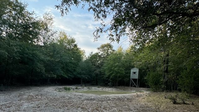 TBD County Road 1410, Bogata, TX 75417