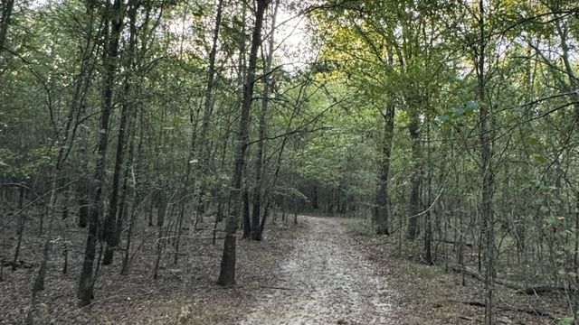TBD County Road 1410, Bogata, TX 75417