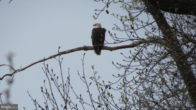 80 NE ISLE DR, North East, MD 21901