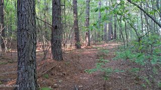 Lot 21 Airport Rd (PCA), Rockwood, TN 37854