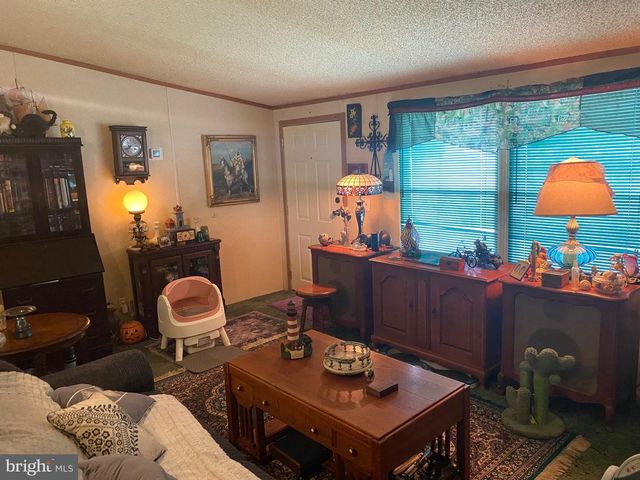 10766 RIFLE RANGE RD, Bridgeville, DE 19933