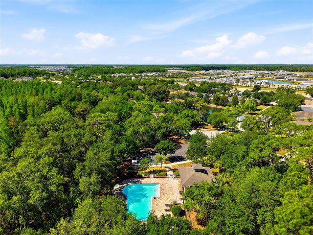 4242 ASHTON MEADOWS WAY, Wesley Chapel, FL 33543