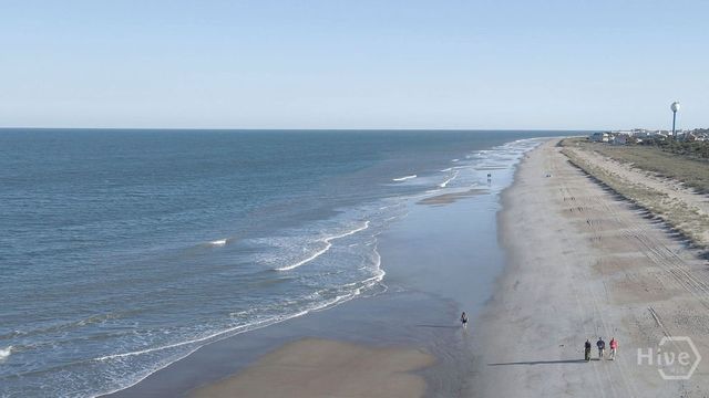 4 Palmwood Court, Tybee Island, GA 31328