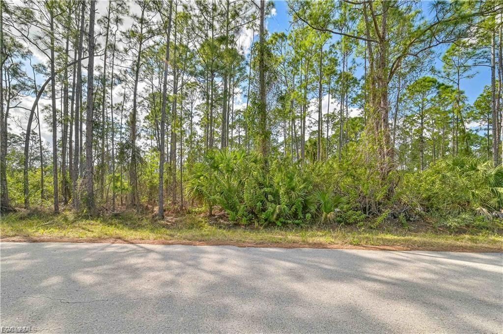 2017 Grant AVE, ALVA, FL 33920 — photo 3