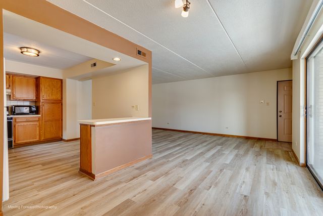 17960 Royal Oak Court 2S, Tinley Park, IL 60477