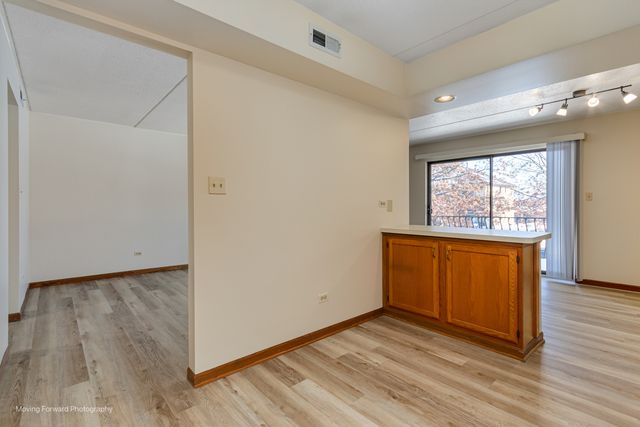 17960 Royal Oak Court 2S, Tinley Park, IL 60477