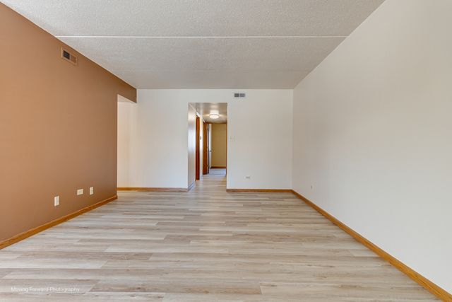 17960 Royal Oak Court 2S, Tinley Park, IL 60477