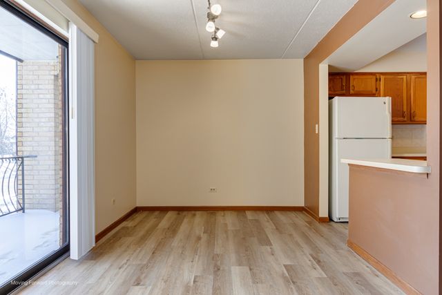 17960 Royal Oak Court 2S, Tinley Park, IL 60477