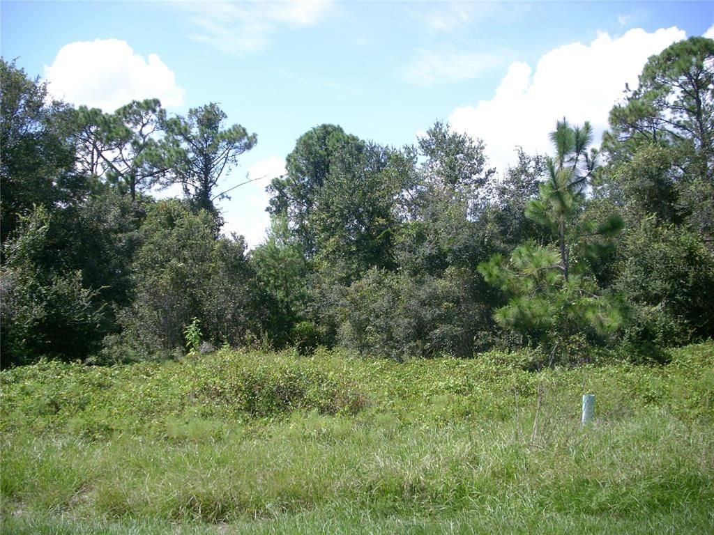 1343 CONGO COURT, Kissimmee, FL 34759