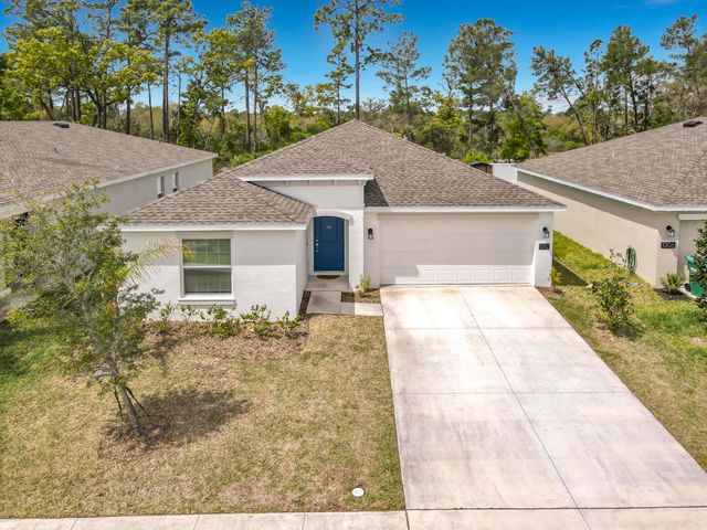 1312 Peach Creek Drive, Osteen, FL 32764