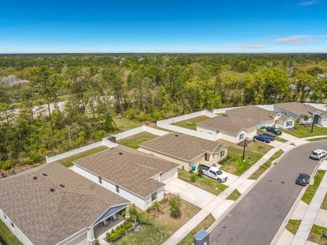 1312 Peach Creek Drive, Osteen, FL 32764