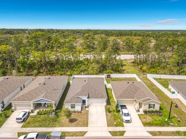 1312 Peach Creek Drive, Osteen, FL 32764