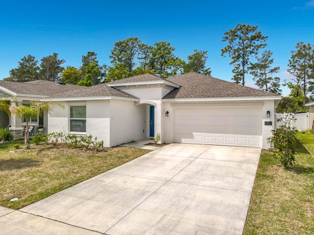 1312 Peach Creek Drive, Osteen, FL 32764