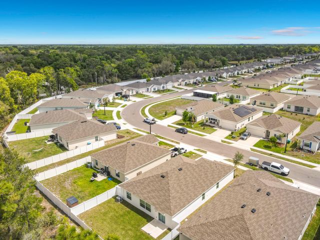 1312 Peach Creek Drive, Osteen, FL 32764