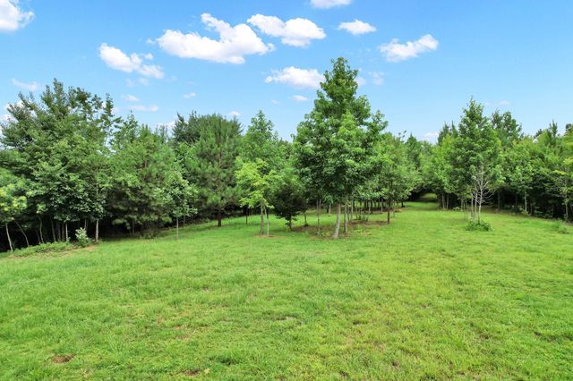 1751 County Road 50, Riceville, TN 37370
