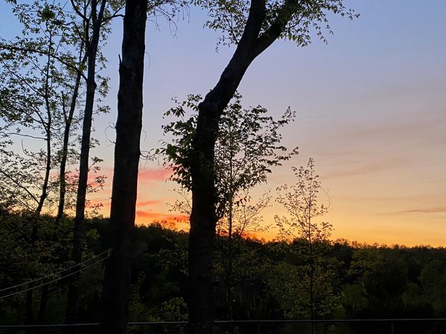 1751 County Road 50, Riceville, TN 37370